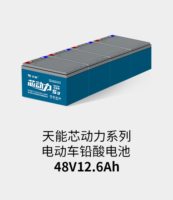 申博太阳城·(中国)集团电池48v12ah