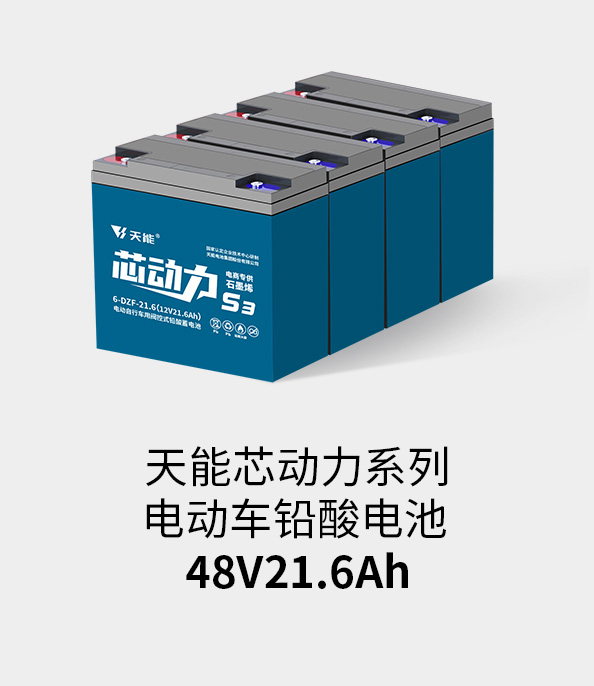 申博太阳城·(中国)集团电池48v20ah