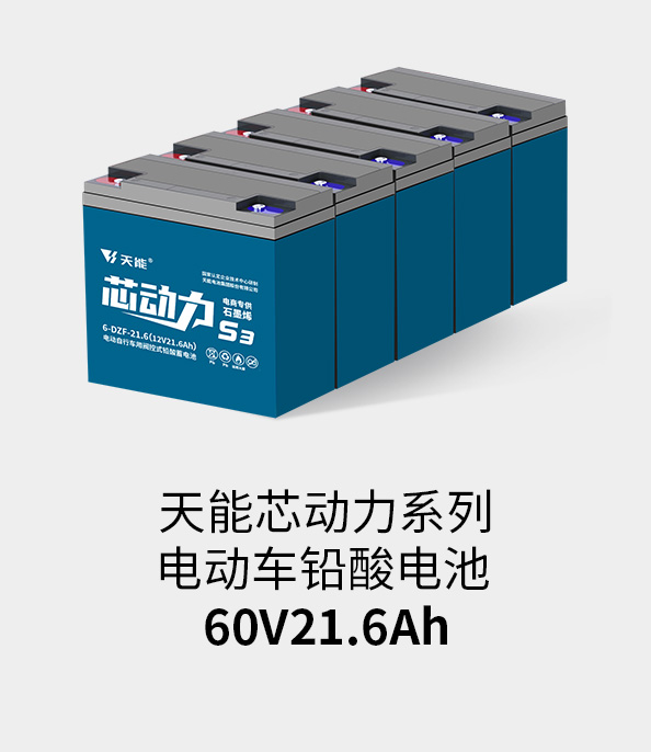 申博太阳城·(中国)集团电池60v20ah