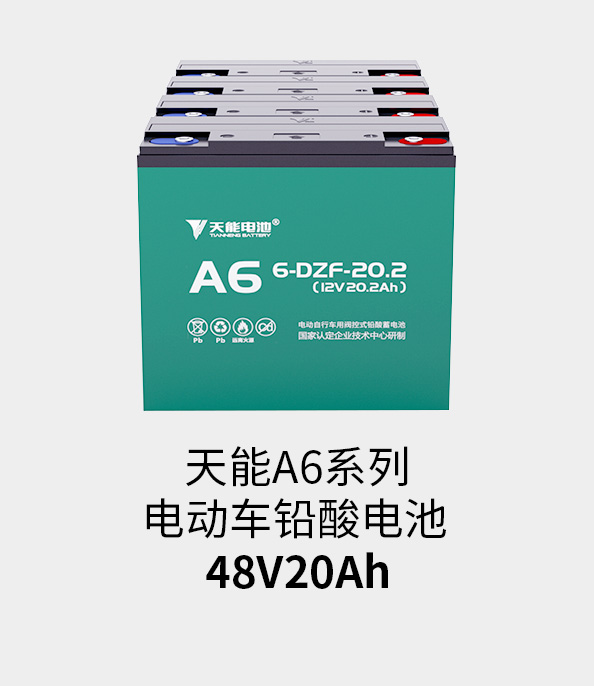 申博太阳城·(中国)集团电池48v20ah