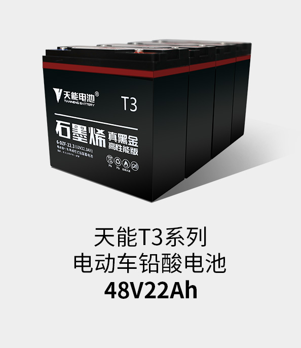 申博太阳城·(中国)集团T3系列48v22ah