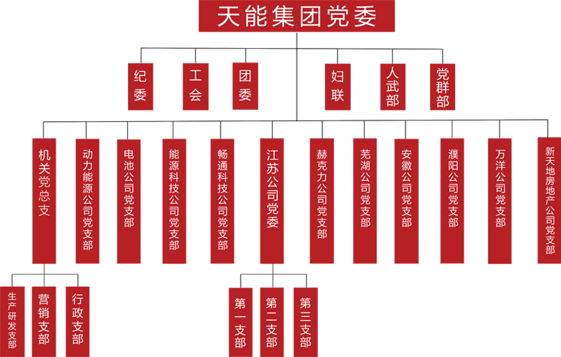 申博太阳城·(中国)集团建团党委组织架构