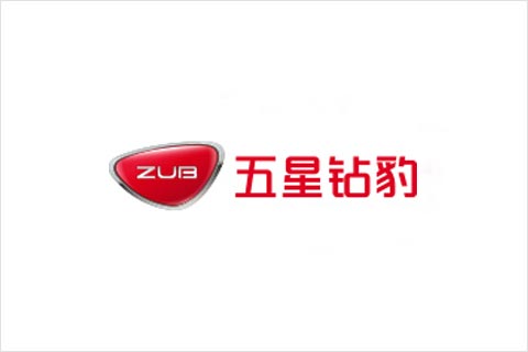 申博太阳城·(中国)集团电池合作伙伴 五星钻豹电动车